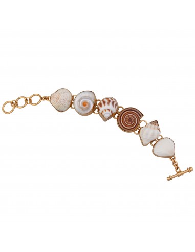 Alchemia Multi-Shell Bracelet solde